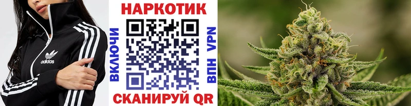 Купить закладку Alpha-PVP  Галлюциногенные грибы  Гашиш  Мефедрон  Медногорск