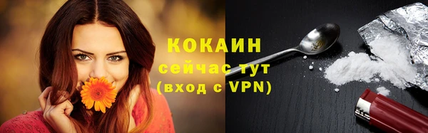 винт Гусиноозёрск