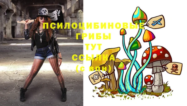 jwh Гусь-Хрустальный