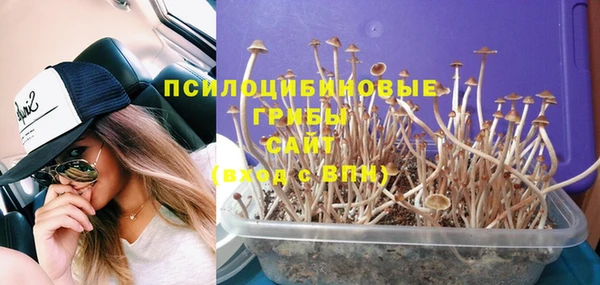 винт Гусиноозёрск