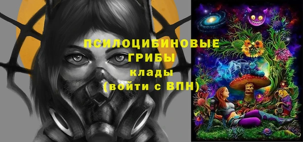 jwh Гусь-Хрустальный