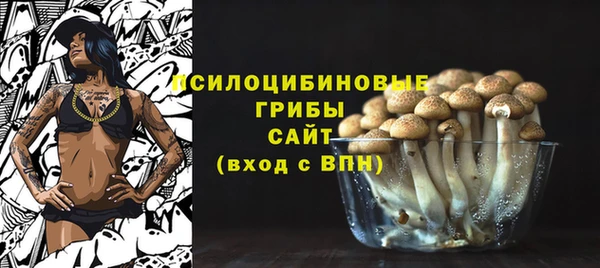винт Гусиноозёрск