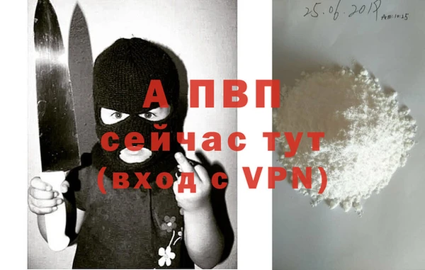 винт Гусиноозёрск