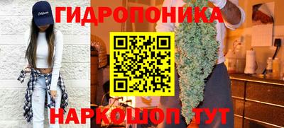 прущие крисы Донской