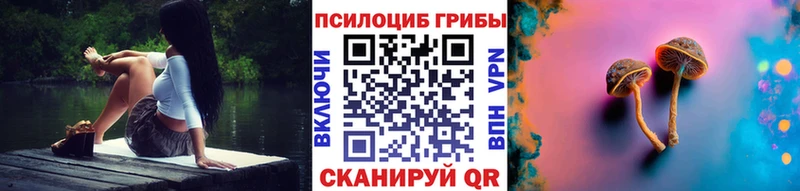 Псилоцибиновые грибы Psilocybine cubensis  Купить  Медногорск 