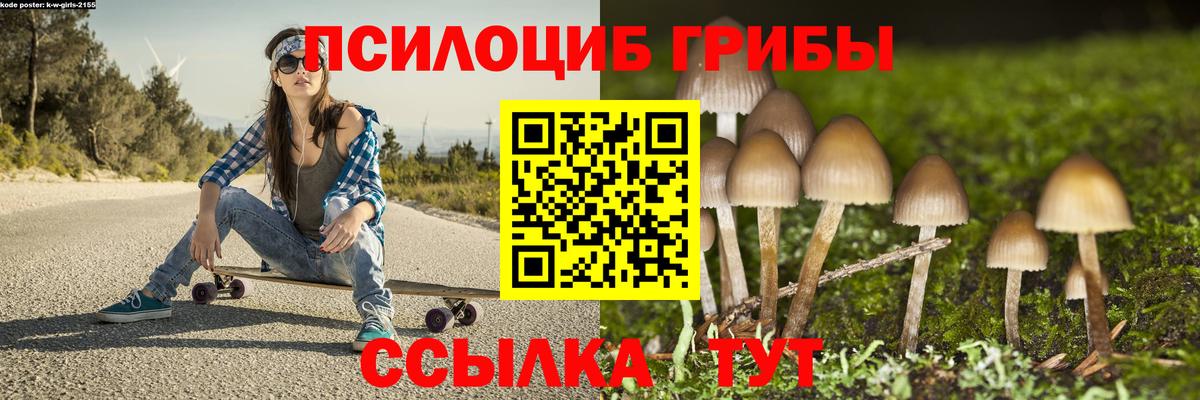 Псилоцибиновые грибы ЛСД Медногорск