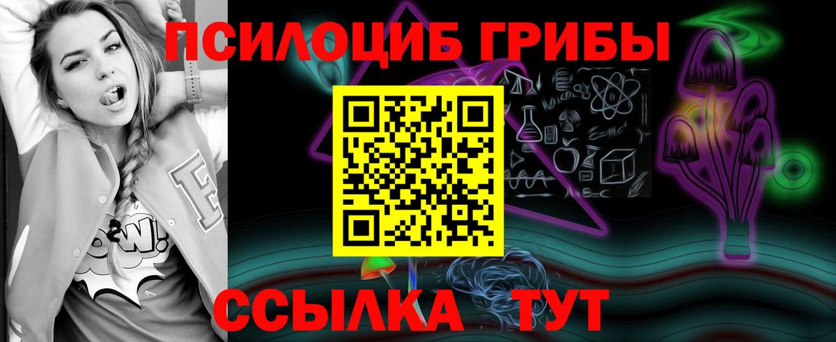 Галлюциногенные грибы MAGIC MUSHROOMS  Вход с VPN  Галлюциногенные грибы MAGIC MUSHROOMS  Медногорск 