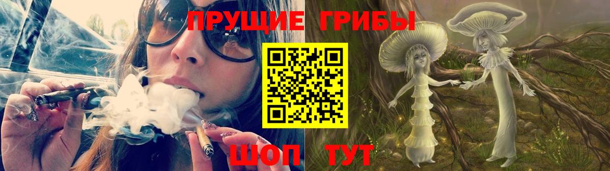Псилоцибиновые грибы Cubensis Медногорск